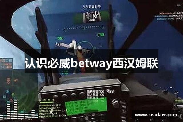 认识必威betway西汉姆联